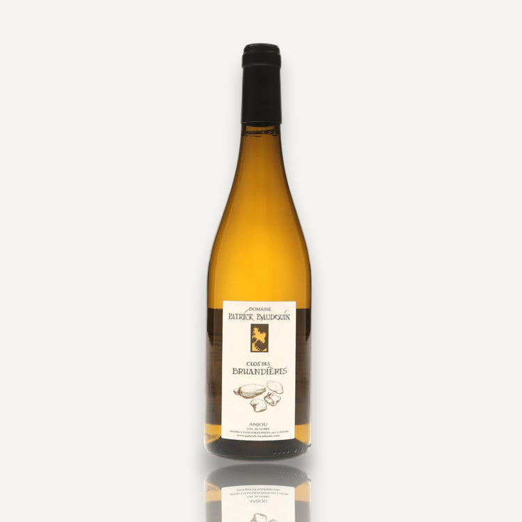 Patrick Baudouin Chenin Blanc Clos des Bruandieres Anjou - Loire Valley, Fr 2019