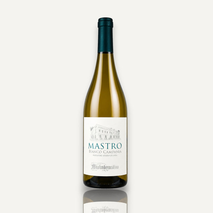 Mastroberardino 'Mastro Bianco' - Campania 2024