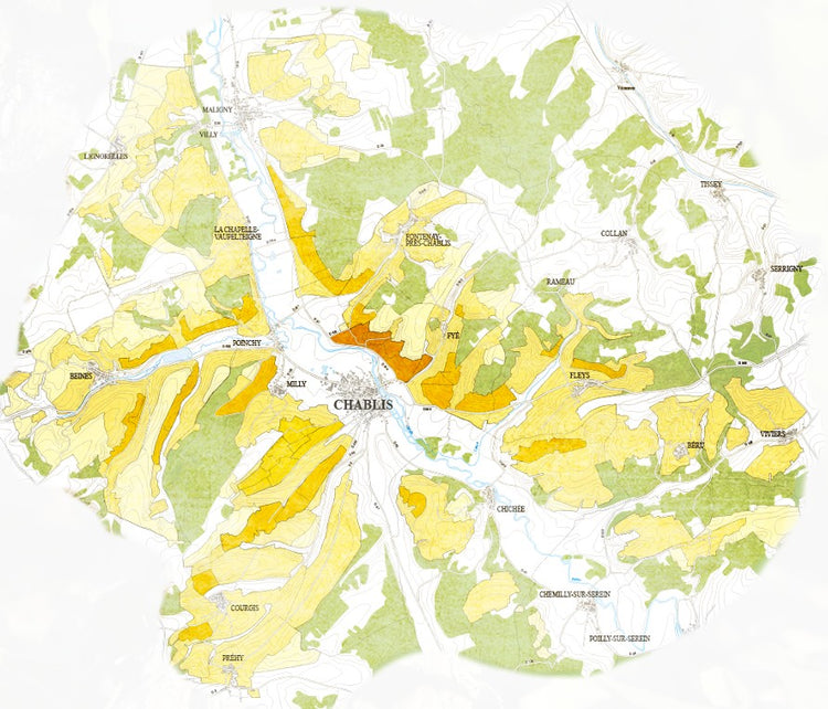Domaine Billaud-Simon Petit Chablis 2023