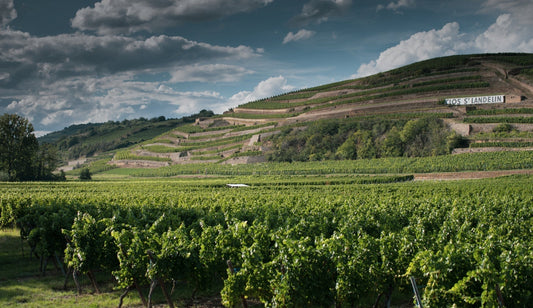 Domaine Muré | Alsace