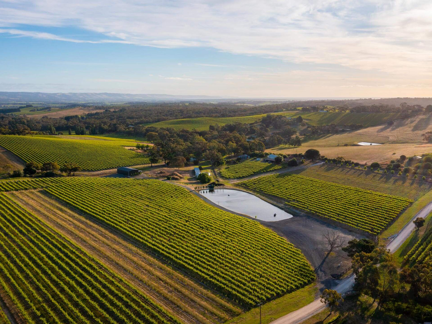 MMAD & Shaw+Smith Single Vineyards