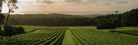 Polperro | Mornington Peninsula