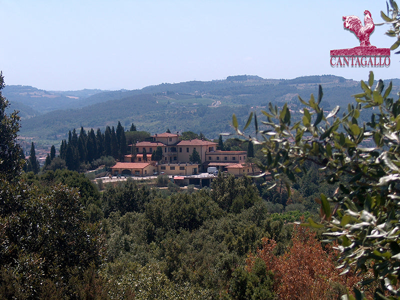 Chianti Montalbano & Carmignano