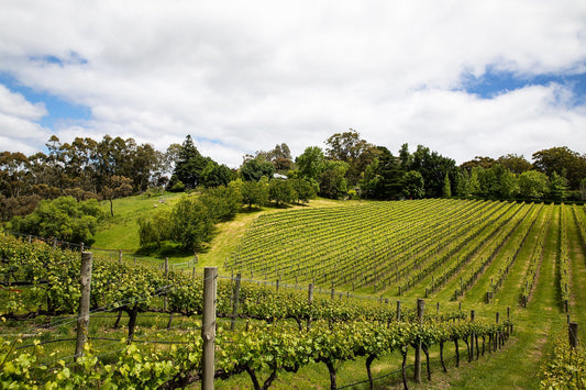 Gentle Folk | Adelaide Hills