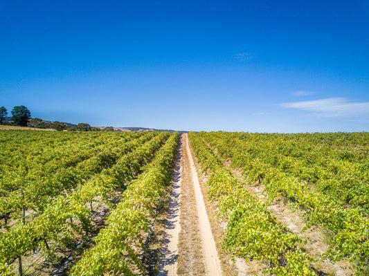 Dune & Coriole | McLaren Vale