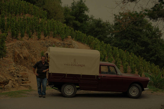 Yves Cuilleron | Northern Rhône Valley
