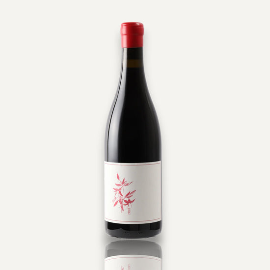 Arnot-Roberts 'Heaven and Earth' Pinot Noir - Sonoma Coast, USA 2024