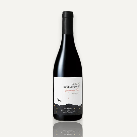 Boris Champy Coteaux Bourguignons Gamay Fin - Burgundy, Fr 2022