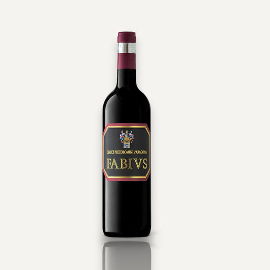Ciacci Piccolomini d'Aragona 'Fabivs’ Syrah San’Antimo 2024