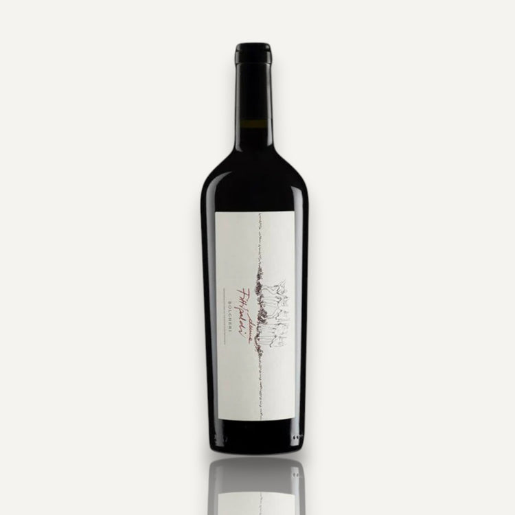 Donne Fittipaldi Bolgheri - Tuscany, It 2020