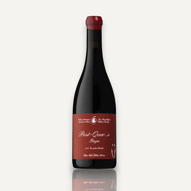 Pato & Wouters 'Post Quercus' Baga Tinto 2023