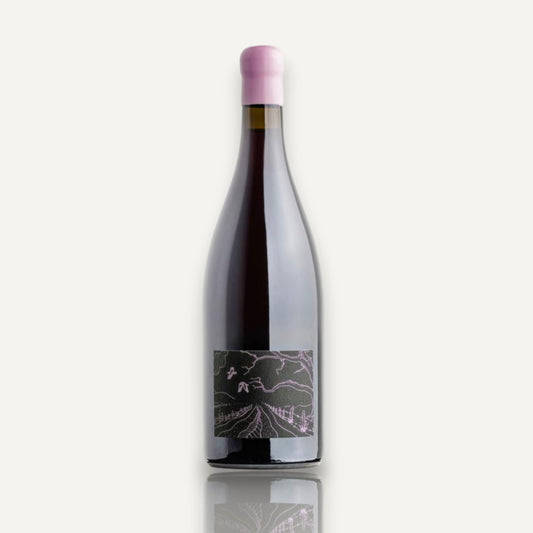 Supernatural 'Les Filles' Pinot Noir - Tasmania 2024