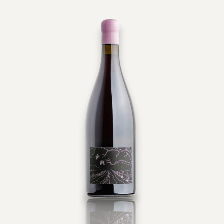 Supernatural 'Les Filles' Pinot Noir - Tasmania 2024