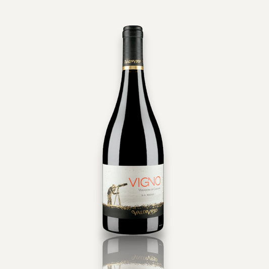 Valdivieso 'Éclat' VIGNO Carignan – Maule Valley, Chile 2019
